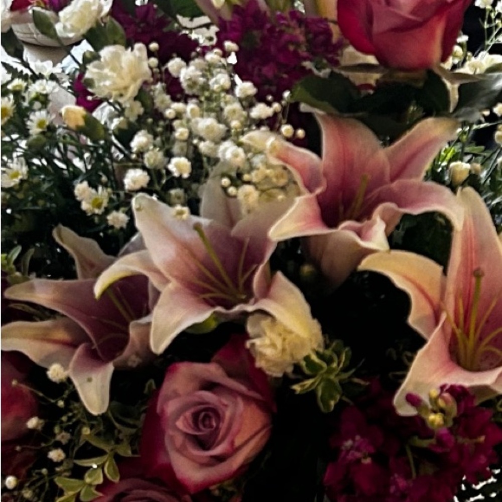 Meet your Posher, Neta